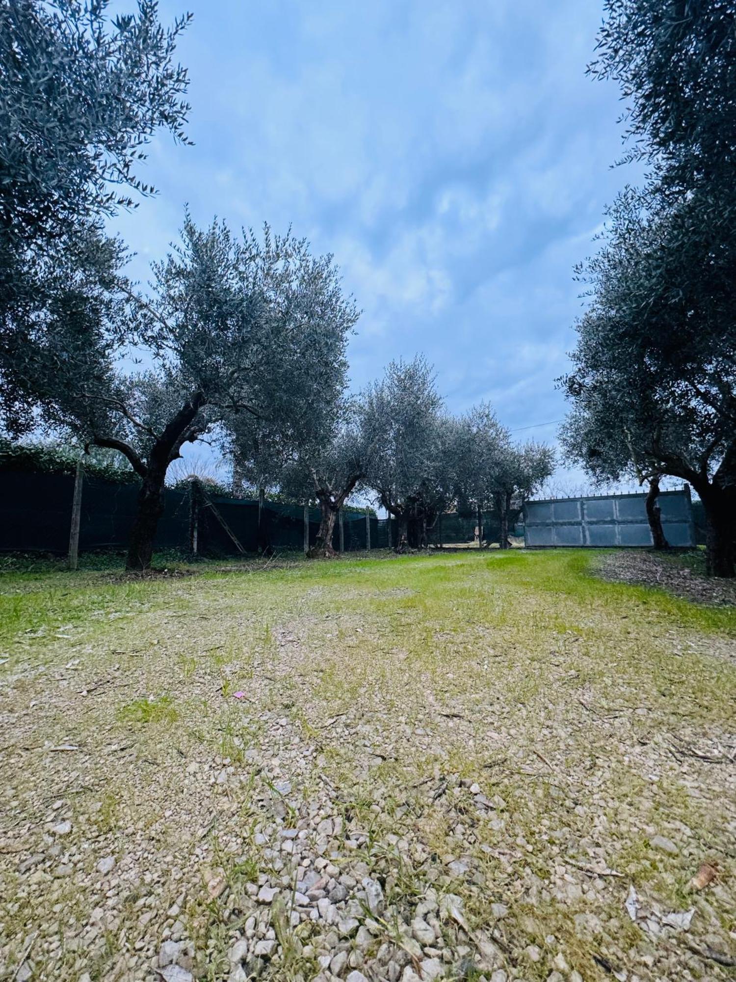 La Perla Di Dea Villa Lido Di Fondi Kültér fotó